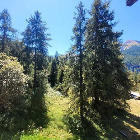 Le Lodge Des Marmottes - Calme, Cosy, Vue Nature เลซอร์ ภายนอก รูปภาพ