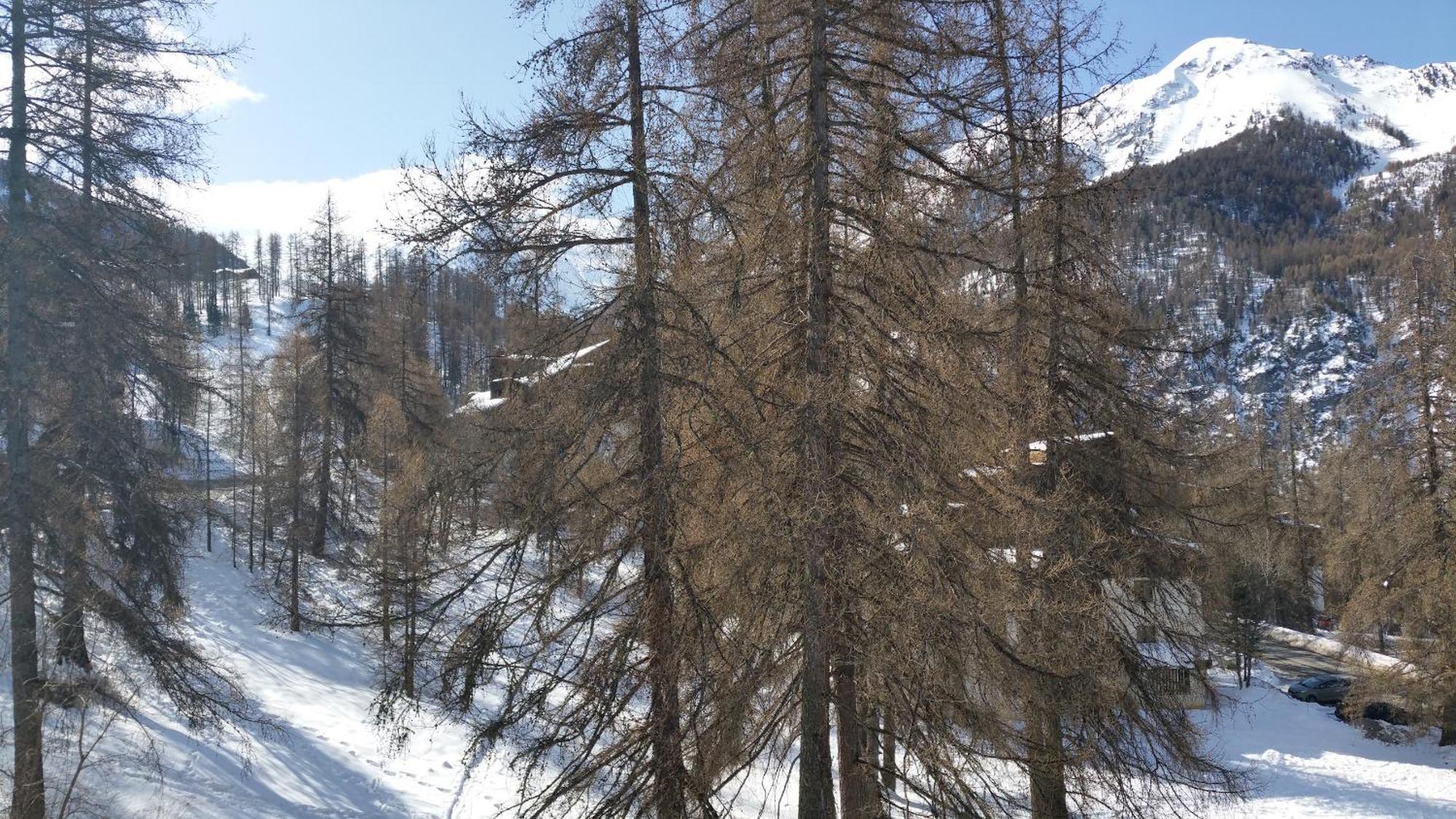 Le Lodge Des Marmottes - Calme, Cosy, Vue Nature เลซอร์ ภายนอก รูปภาพ